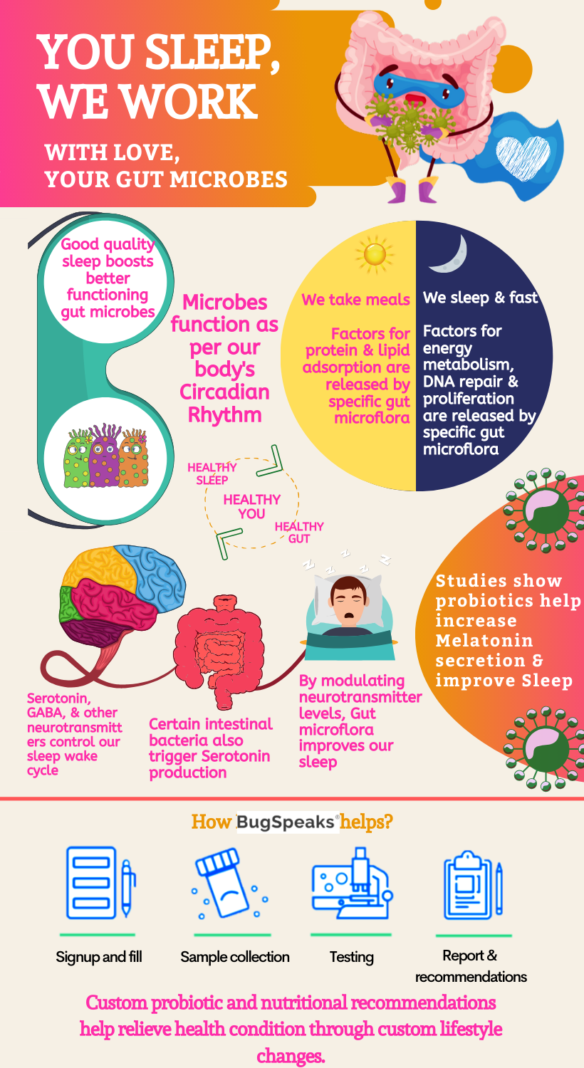 Gut health and sleep